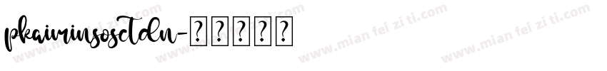pkaiminsosctdn字体转换