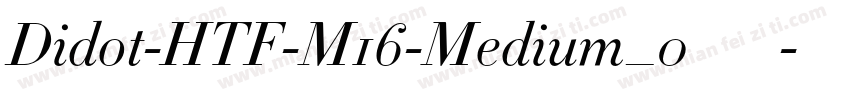 Didot-HTF-M16-Medium_0手机版字体转换