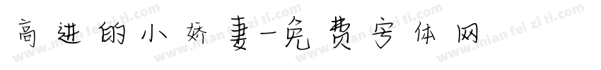 高进的小娇妻字体转换