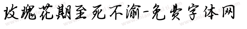 玫瑰花期至死不渝字体转换