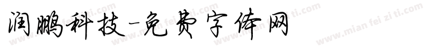 润鹏科技字体转换