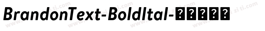 BrandonText-BoldItal字体转换