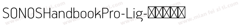 SONOSHandbookPro-Lig字体转换