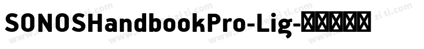 SONOSHandbookPro-Lig字体转换