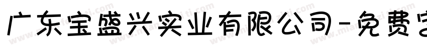 广东宝盛兴实业有限公司字体转换