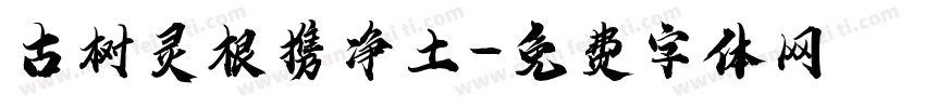 古树灵根携净土字体转换