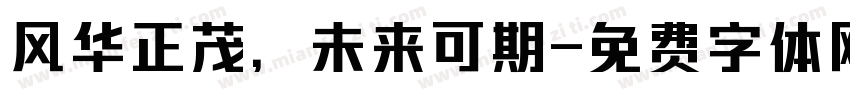 风华正茂，未来可期字体转换