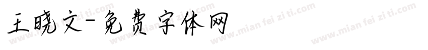 王晓文字体转换