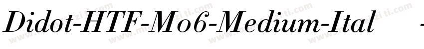Didot-HTF-M06-Medium-Ital生成器字体转换