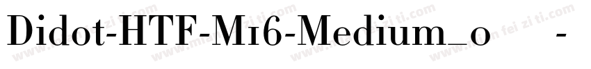 Didot-HTF-M16-Medium_0手机版字体转换