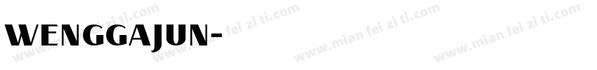 wenggajun字体转换