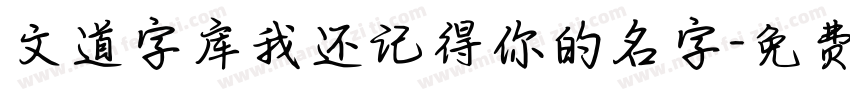 文道字库我还记得你的名字字体转换