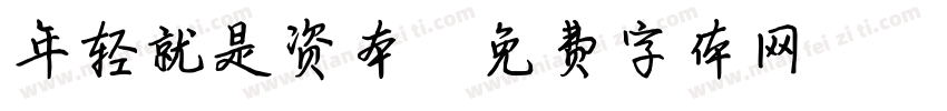 年轻就是资本字体转换