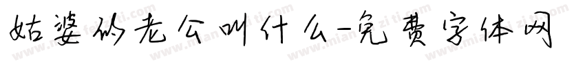 姑婆的老公叫什么字体转换