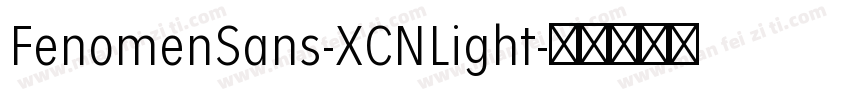 FenomenSans-XCNLight字体转换