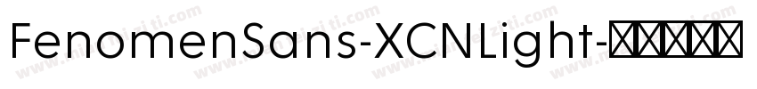 FenomenSans-XCNLight字体转换