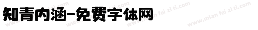 知青内涵字体转换