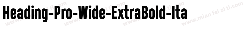 Heading-Pro-Wide-ExtraBold-Italic-t字体转换