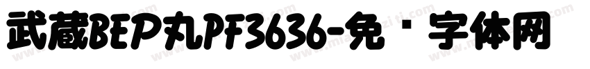 武蔵BEＰ丸PF3636字体转换