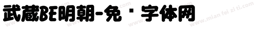 武蔵BE明朝字体转换