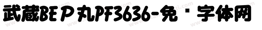武蔵BEＰ丸PF3636字体转换
