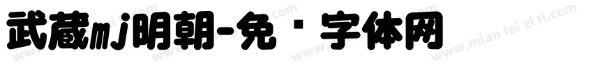 武蔵mj明朝字体转换