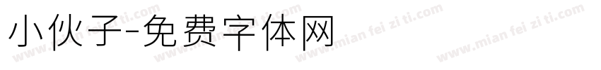 小伙子字体转换