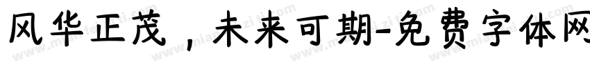 风华正茂，未来可期字体转换