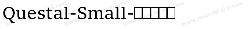 Questal-Small字体转换