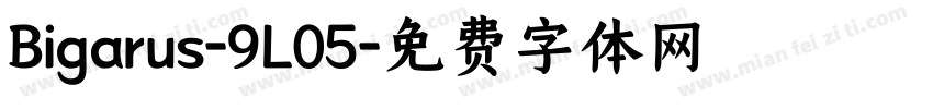 Bigarus-9L05字体转换