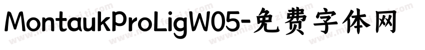 MontaukProLigW05字体转换