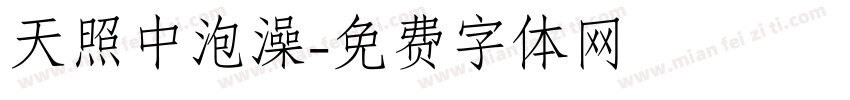 天照中泡澡字体转换