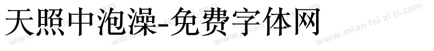 天照中泡澡字体转换