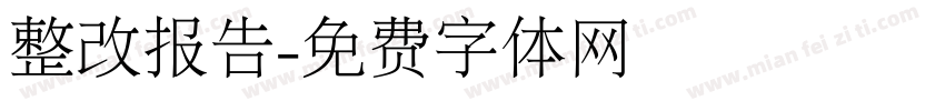 整改报告字体转换