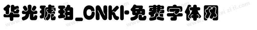 华光琥珀_CNKI字体转换