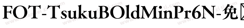 FOT-TsukuBOldMinPr6N字体转换
