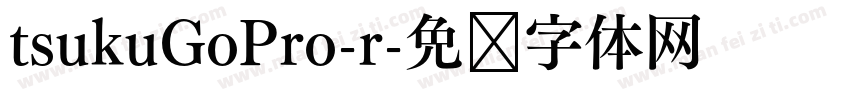 tsukuGoPro-r字体转换