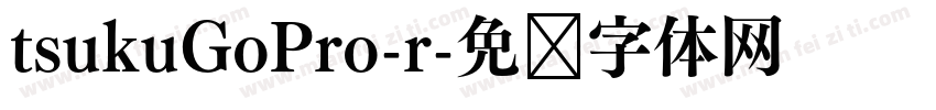 tsukuGoPro-r字体转换