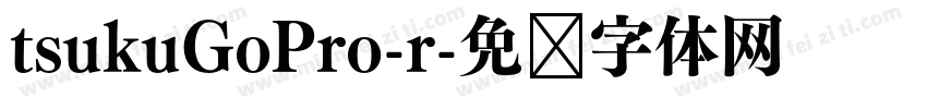 tsukuGoPro-r字体转换