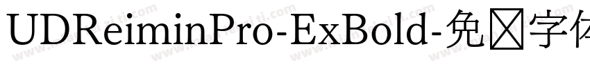 UDReiminPro-ExBold字体转换