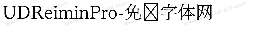 UDReiminPro字体转换
