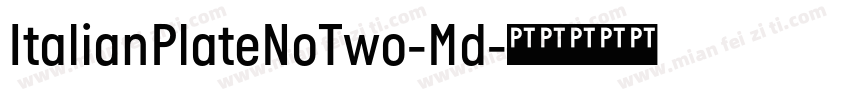 ItalianPlateNoTwo-Md字体转换
