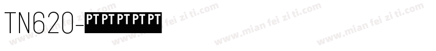 TN620字体转换