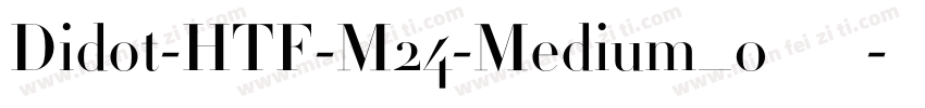 Didot-HTF-M24-Medium_0手机版字体转换