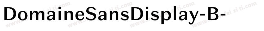 DomaineSansDisplay-B字体转换