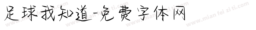 足球我知道字体转换