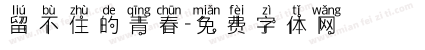留不住的青春字体转换