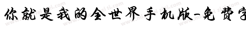你就是我的全世界手机版字体转换