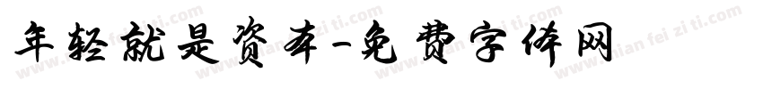 年轻就是资本字体转换