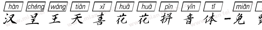 汉呈王天喜花花拼音体字体转换